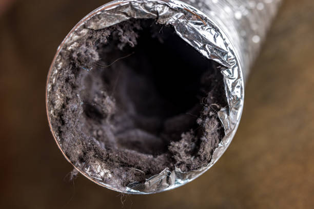 Best Professional Duct Cleaning Services  in Hlside, IL